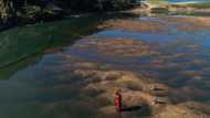 Durban chemical spill: Damage to stay for years to come, says Minister Creecy