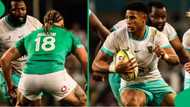 Ireland edge Springboks in close Durban thriller to share series spoils, fans take loss on the chin