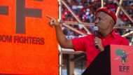 EFF’s Malema takes aim at SA voters for allowing ANC to mess up the country, leaving Mzansi divided