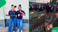 Resurfaced videos of schoolchildren made Vaal scholar transport tragedy hit closer to home