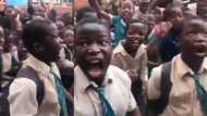 "Another Julius Malema": Short clip of fierce kid goes viral in SA