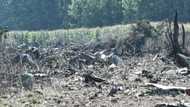 All eight crew killed in cargo plane crash in Greece