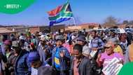 MK Party spinoff LLE claims 70 jobs created after Durban march against illegal foreign workers