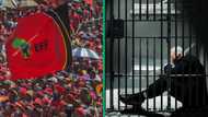 EFF calls for prisoners over 60 to be released on parole, Mzansi strongly disagrees: “Jesus, we are not safe”