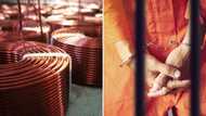 12 Zimbabwean nationals set to apply for bail following foiled robbery of copper from transport company