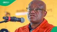 Jhb Mayor Highlights CBD Crisis:Calls for Home Affairs Intervention