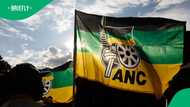 ANC fires Dannhauser deputy mayor for voting with IFP to remove speaker
