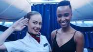 Flight attendant gushes after meeting new Miss Universe Zozibini Tunzi