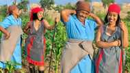 Gogo and grandchild bond while farming, SA reacts: "We love to see it"