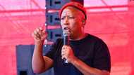 "Game changer": EFF plans to create labour union to represent workers' needs