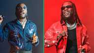 “Shut Up”: Burna Boy’s command to backup singer draws attention