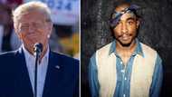 Donald Trump's lawyer Alina Habba compares his arrest to Tupac Shakur's, Peeps angry: "Fire that lawyer"