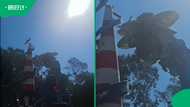 “Yip... that’s people up there”: Gold Reef City ride clip has SA talking