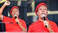 Malema divides South Africa: Demands apology for ‘previous racial injustices’