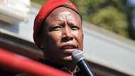 Malema admits EFF will not govern any time soon, SA concurs: 'Unfortunately so, Juju'