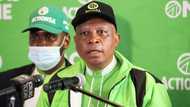 Mzansi lambasts ActionSA leader Herman Mashaba after he tries to shade the EFF