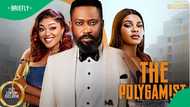 "This producer is so fast": SA woman reviews Nigerian version of 'The Polygamist', SA in stitches