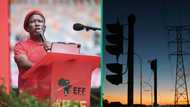 EFF vows to end loadshedding within 6 months if elected, SA weighs in