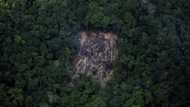 Despite Lula's promises, deforestation still rampant in Brazil