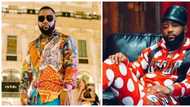 Levels: Cassper Nyovest becomes most Googled celebrity in Mzansi