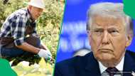 "Help us get our money": White farmers beg Trump to recover R65 billion from Zimbabwe