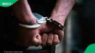 Gauteng Political Killings Task Team arrests suspect linked to EFF official Monicca Dube's murder