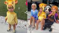 "Aww": Cute video of little boy dressed as Simba gives peeps the feels online