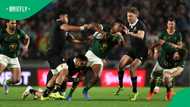 Springboks and All Blacks set for fierce rugby championship showdown