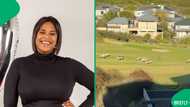 "What a view": Woman spots springboks running in backyard of her fancy estate, SA impressed