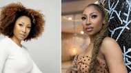 Enhle Mbali's 10 best hairstyles: From short blonde hair, colourful bob wigs to her signature curly hair look