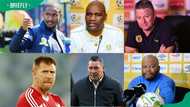 Top 10 highest-paid PSL coaches in South Africa in 2024: a detailed list