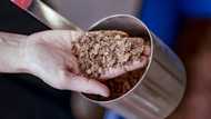 How chocolate could counter climate change