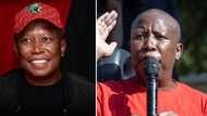 Julius Malema doubles down on grid collapse prediction, pro-Russia stance and land reform in BBC interview