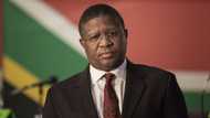 Fikile Mbalula trends for saying he inherited a broken Prasa, vows to fix it: "Incompetency follows incompetency"