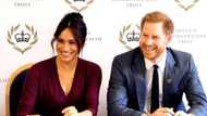 Prince Harry is living off inheritance his mom Princess Diana left him