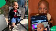"This boy is smart": Toddler unimpressed with being turned into a cartoon character, SA in stitches