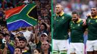 SA government miss anti-doping law deadline, Springboks might play against France without national flag