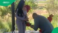 Woman gets helicopter proposal in TikTok video of romantic date with boyfriend