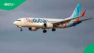 Israeli passengers overpower co-pilot who stabbed captain on Flydubai flight to Tel Aviv
