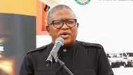 Fikile Mbalula says the ANC wants to fix South Africa's energy crisis