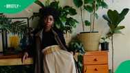 SA reacts to woman's plant warning about a plant that shouldn't be in peoples homes