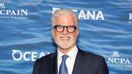 Who is Alexis Danson? Everything about Ted Danson's daughter