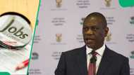 Deputy President Paul Mashatile pledges job creation focus for seventh administration