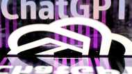 ChatGPT sends shares in online learning giants into tailspin