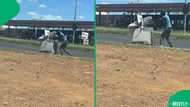 Phara pushed a sonar machine on the road leaving mzansi shocked and amused