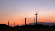 UAE, Egypt ink major wind energy deal on COP27 sidelines