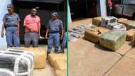 Limpopo police's Burgersfort operation seizes R3 million worth of dagga, surprising Mzansi