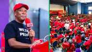 Julius Malema calls for clean election campaign, urges EFF members to avoid violence