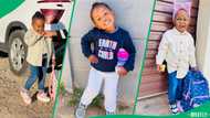 An adorable toddler's window chats with next-door dad captured Mzansi's hearts
