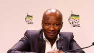 Why is Zizi Kodwa on the limelight?